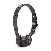 Fitness Watch Accessories