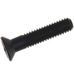 Locking screw (image for) Locking screw