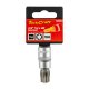 (image for) Torx