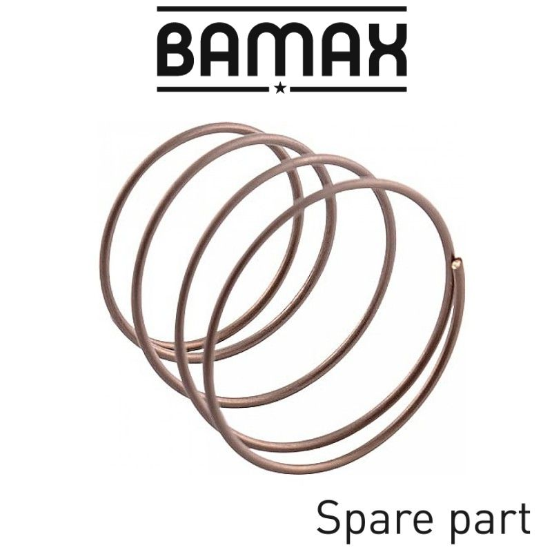 (image for) Spring For 1' Non Return Valve