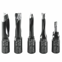 (image for) Festool DOMINO Cutter Set DF 500 D 4/5/6/8/10mm 5 Piece