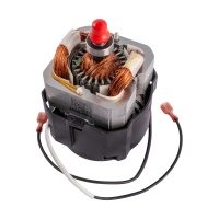 (image for) Repair Kit Motor Johnson 230v A20/a30/a45