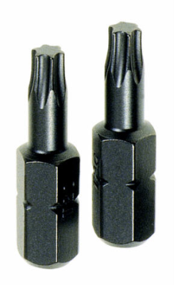 (image for) Torx Tx25 Insert Bits 2 Pce