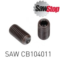 (image for) Sawstop Set Screw M6 X 1.0 X 14mm
