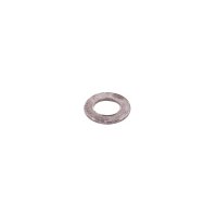 (image for) Small Gasket For Sg H2000 Spray Gun