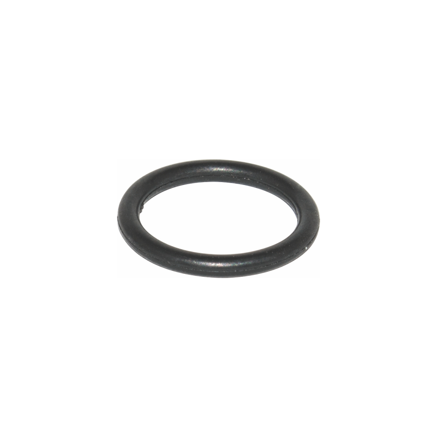 (image for) O-ring For H2000 Spray Gun