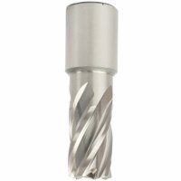(image for) Annular Hole Cutter Hss 17 X 30mm Weld Shank 19.05mm