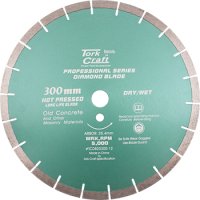 (image for) Diamond Blade 300 X 25.4mm Old Concrete Hot Pressed Segmented