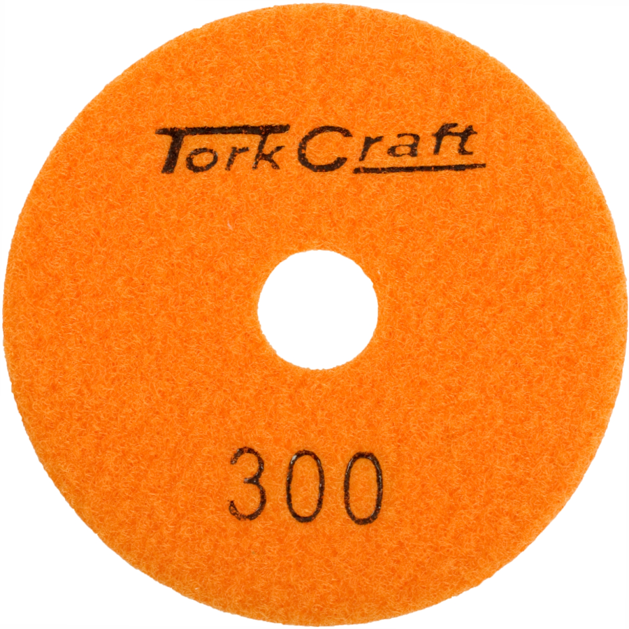 (image for) 100mm Diamond Polishing Pad 300 Grit Dry Use