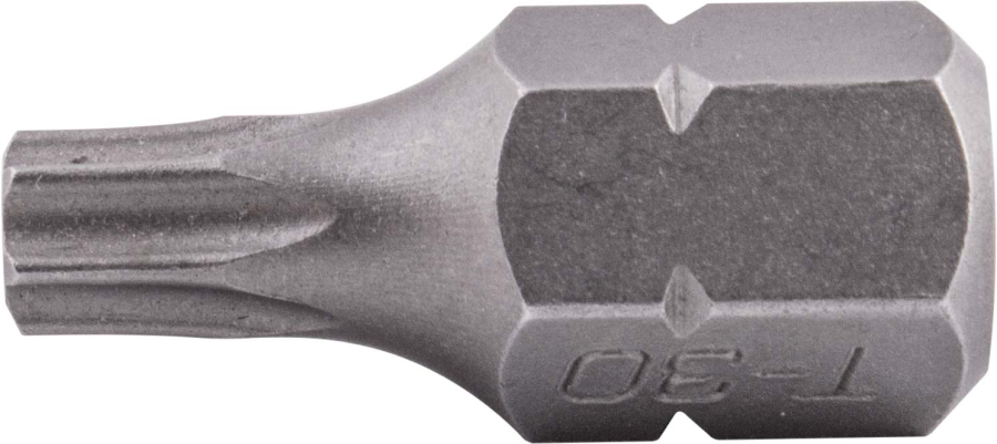 (image for) Torx Tamper Proof T30 X 25mm 10mm Hex Shank