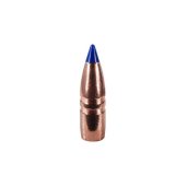 Ammunition