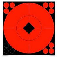 (image for) Birchwood Casey Target Spot Targets 6