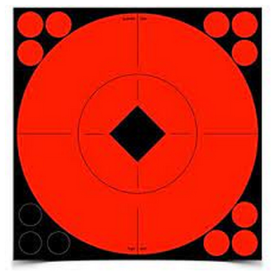 (image for) Birchwood Casey Target Spot Targets 6
