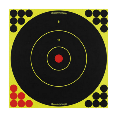 (image for) Birchwood Casey Target Shoot-N-C Round 12