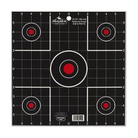(image for) Birchwood Casey Target D/Bird Sighting In 12