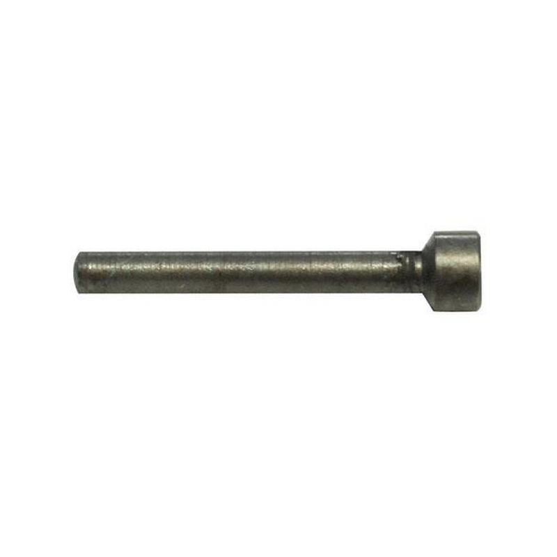 (image for) Lyman Decapping Pins (10 Pk)