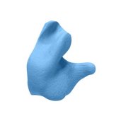 Gun Care & Accessories