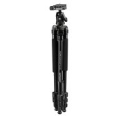 Tripods & Monopods